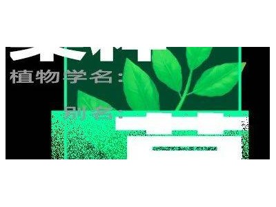 小众App教老外识植物，竟能月赚8000万？