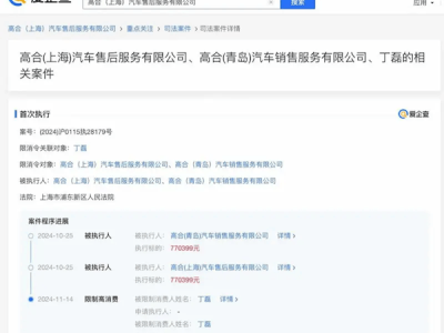 高合汽车丁磊遭限高消费，公司租赁合同纠纷强制执行超77万