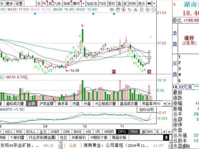 湖南黄金两连板！平江超大型金矿发现，真实储量几何？