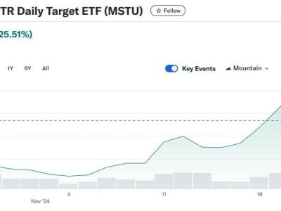 “比特币影子股”MSTR有多火？基金经理高呼是“与众不同的怪兽”，ETF被限制交易