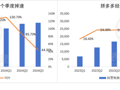 拼多多降速求变