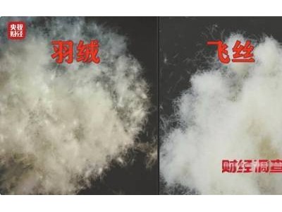 假羽绒服两个月卖出6万多件