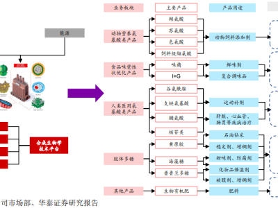 “合成生物巨头”梅花生物5亿海外并购，能否破解业绩困局？