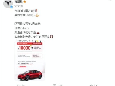 Model Y优惠万元，国产品牌围攻光明顶，消费者如何选择成难题？