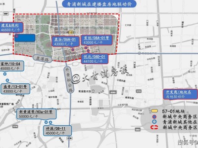 盘谷稳拿青浦新城中央商务区地块，零溢价9.15亿布局未来