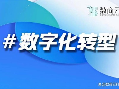 数字化电商平台：解锁商业新引擎，引领未来增长之路