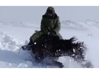 辽宁男子暴雪中骑马出行，雪深几乎覆马背