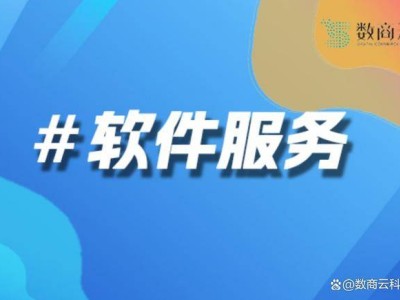 数商云B2B定制电商：打造企业专属平台，引领数字化转型新潮流