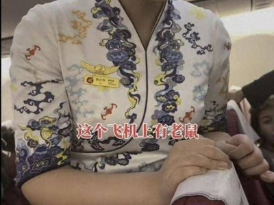 航班惊现老鼠！长安航空紧急捕鼠消毒，乘客安全无忧？