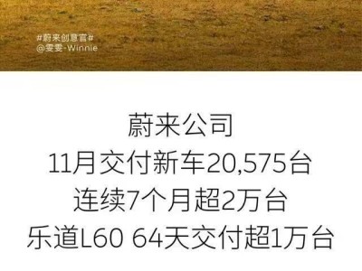 11月新能源车销量争霸：新势力与老势力谁主沉浮？