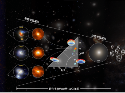 揭秘遥远星暴星系：原位核球如何形成？