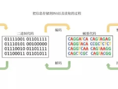 细菌成新型“图书馆”：生命之书翻开新篇章