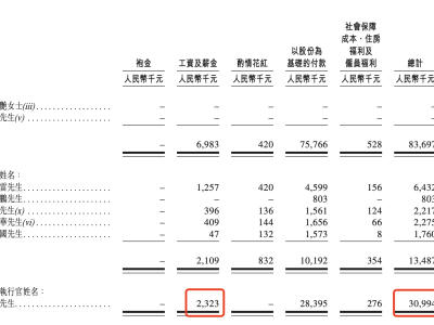 哪吒汽车CEO换帅，张勇卸任后南宁国资委能否成为新救星？