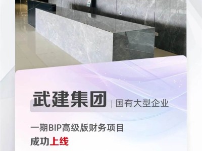 武建集团携手用友，BIP高级版财务项目正式上线引领财务管理新风尚