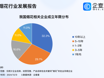 泉州白日烟花秀璀璨绽放，企查查：烟花企业注册量连年攀升