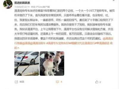 宠物成出行市场新宠，滴滴等巨头能否借此“翻身”？