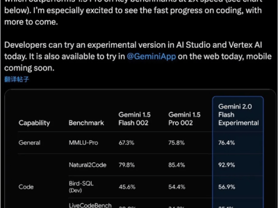 谷歌Gemini 2.0闪耀登场，能否成为Agent时代新霸主？