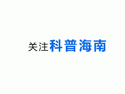 儋州科技馆探秘：中学生沉浸式体验科技魅力之旅