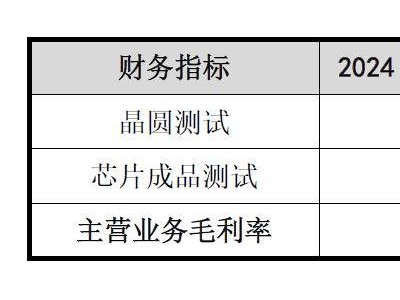 伟测科技再融资成功，半导体测试行业竞争加剧，企业利润遭挤压