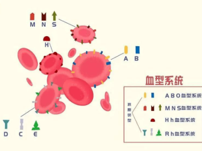 丽水首现“恐龙血”案例，你了解这种稀有血型吗？