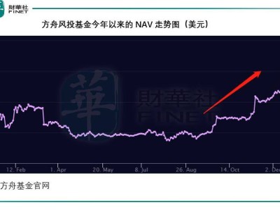 马斯克财富暴增背后，谁是最大赢家？