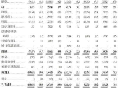 极智嘉赴港上市路：仓储机器人巨头上半年亏损5.5亿，蚂蚁CPE等加持