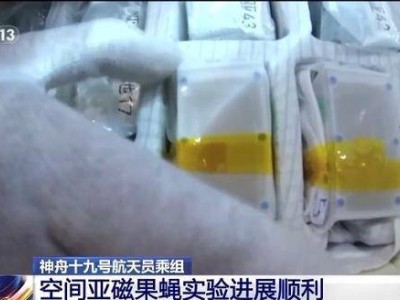 神十九航天员在轨生活揭秘：科研实验忙不停，还为舱门添防护