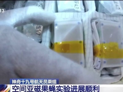 神十九航天员在轨生活揭秘：科研实验不停歇，空间站维护换新颜