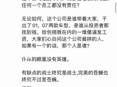 极越内部风波：公关总监反问，公司困境仅归咎于CEO是否合理？