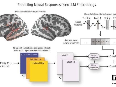大语言模型与人类大脑相似度提升，哥伦比亚大学研究揭示新发现