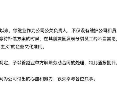 极越公关负责人被指分裂员工遭开除？本人回应：公司混乱，联系不上CEO