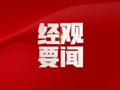 2024年前11月电商成绩单：网络零售稳增，数字化转型加速