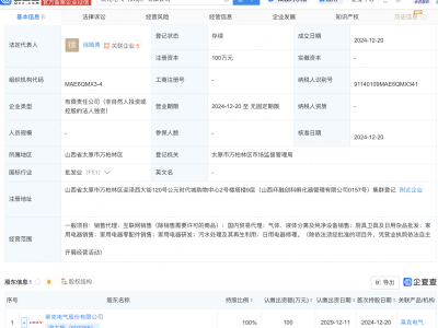 莱克电气太原新添子公司，经营范围广泛引关注