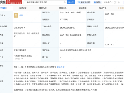 上海新成立算力科技公司，润阳科技等共同持股，聚焦AI等领域