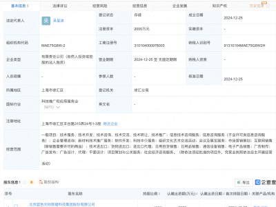 蓝色光标全资成立上海智能营销科技新公司，布局何方？