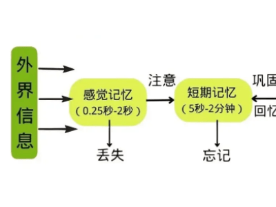 讲真平台：科学记忆新探索，助力学员记忆力飞跃提升