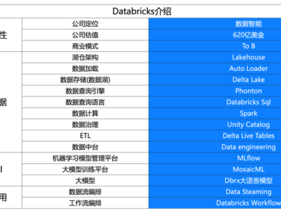 AI+数据风口正盛，中国能否孕育出下一个Databricks？