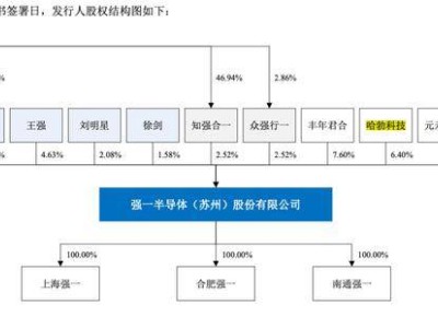 国产半导体探针卡领军者强一股份，科创板IPO募资15亿冲刺上市！