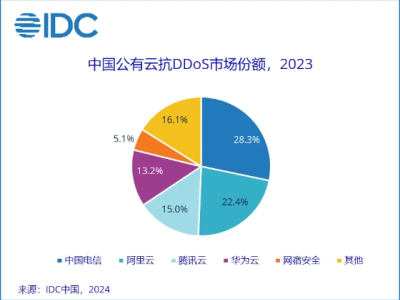 2023年中国公有云抗DDoS市场达22亿 网宿安全跻身前五