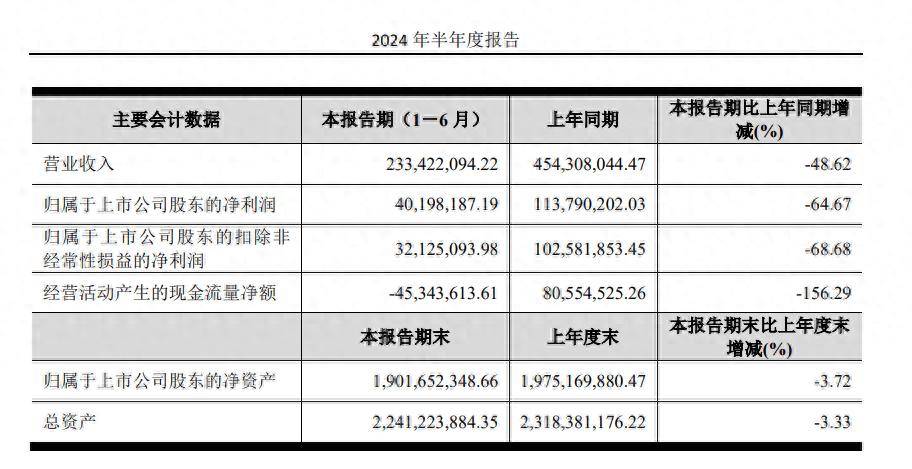 帅丰电器董事长商若云