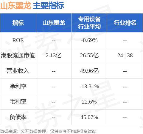 山东墨龙主要指标表