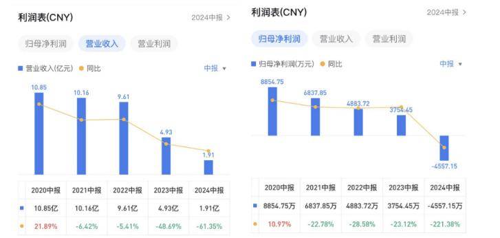 中天精装2024上半年业绩报告