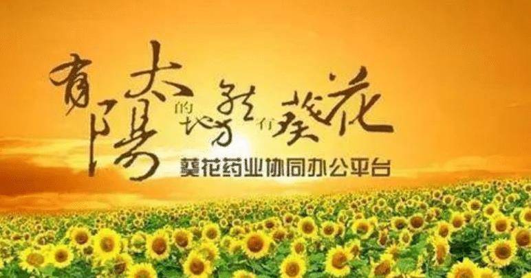 葵花药业旧照