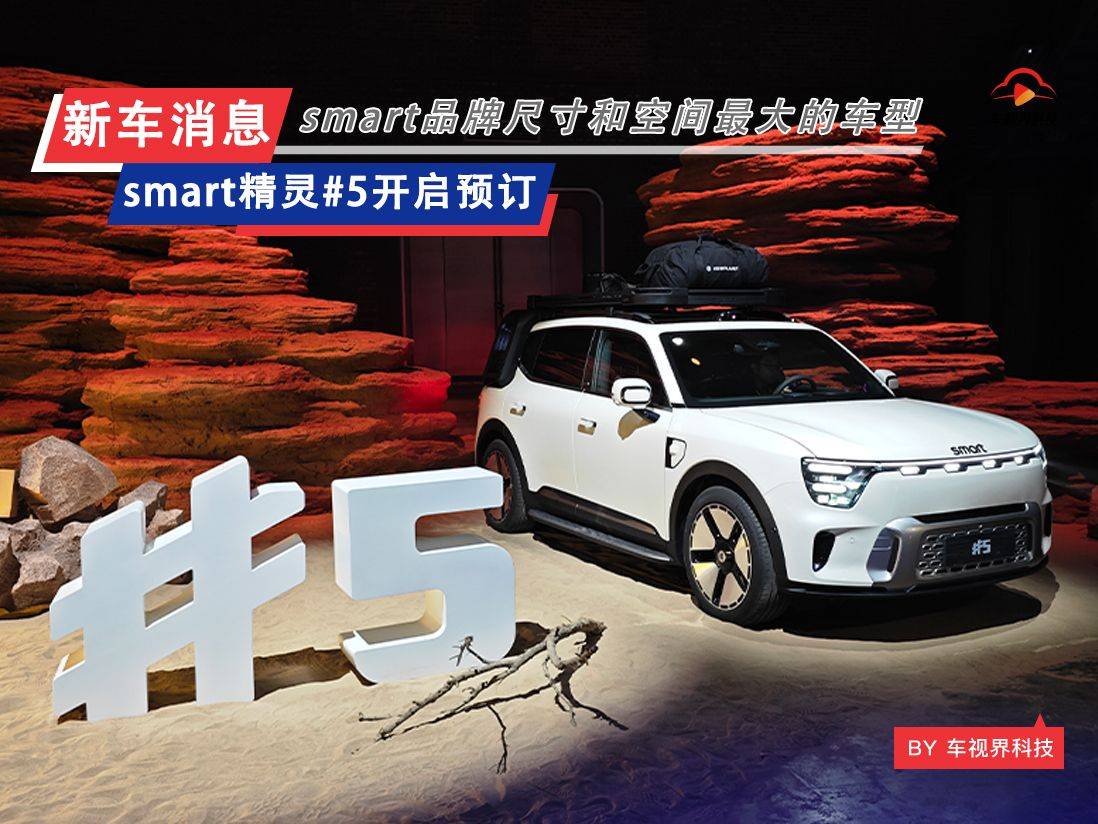 smart精灵#5外观图