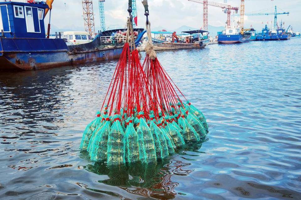 生蚝在海里、路上、消费者餐桌上