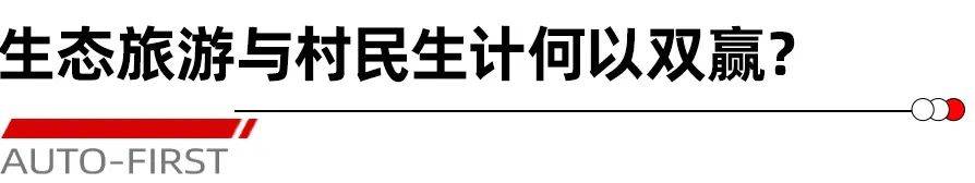 西双版纳热带雨林