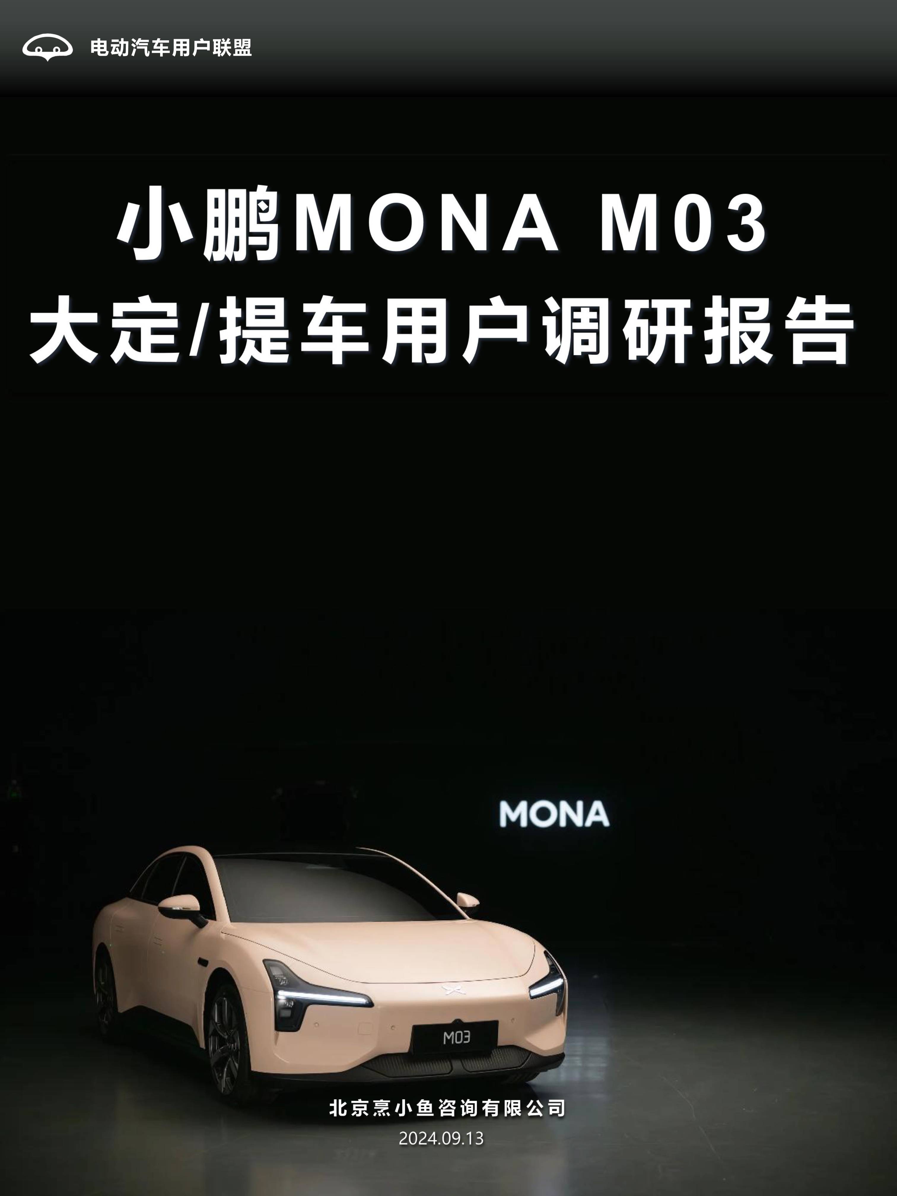 小鹏MONA M03车型图片