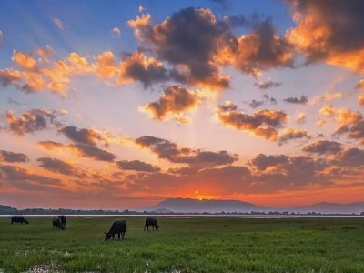 泊心云舍·七夕岛 | 释放爱意，沉浸在中式浪漫中