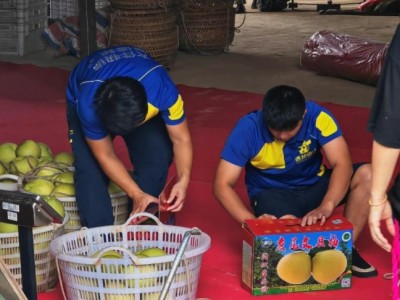 德邦物流助力台州水果走向全国，高效物流保障果农增收