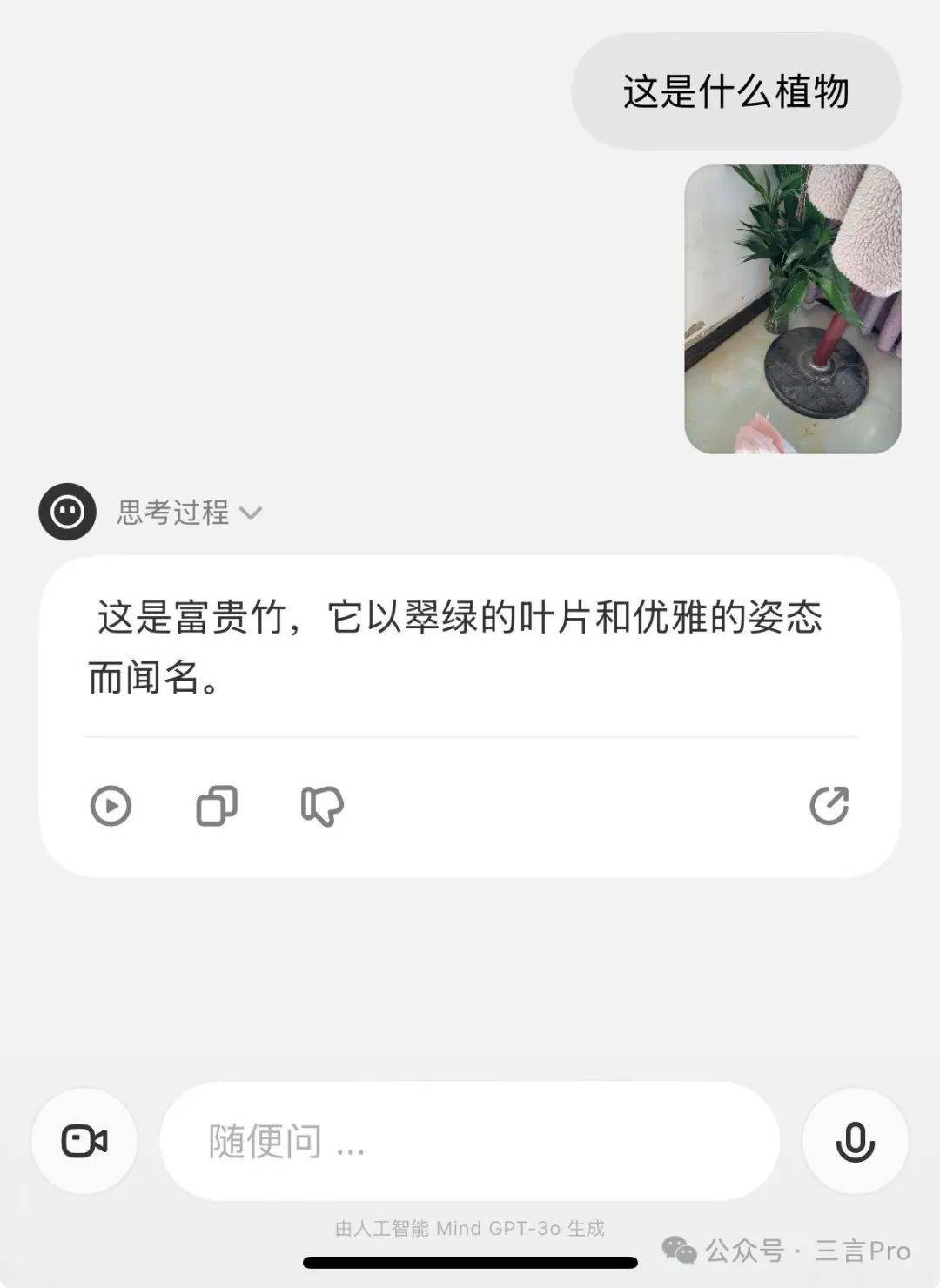 理想同学静物识别测试